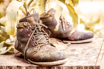 ornamental plants on old shoes, image of vintage style