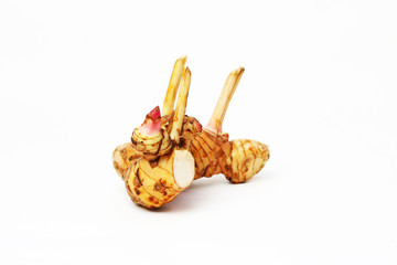 galangal 04