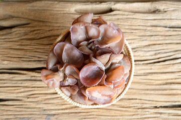 Obraz na płótnie Canvas ear mushroom