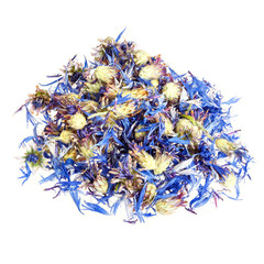 Knapweed dry leaves. Close-up photo. Isolated on white.