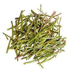 Sprouts (sprigs) of bilberry for medical use isolated on white.
