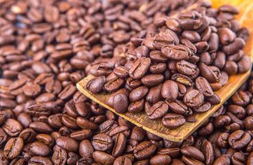 Roasted coffee beans on wooden spatula