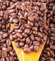 Roasted coffee beans on wooden spatula