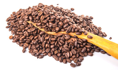 Roasted coffee beans on wooden spatula