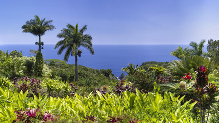 Tropical View of Oacific Ocean