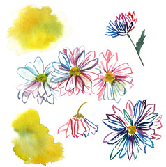 A set of watercolor floral design elements