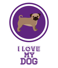 Love pet design