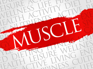 Muscle word cloud, health concept
