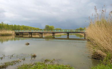 Wooden footbridge over a canal in spring