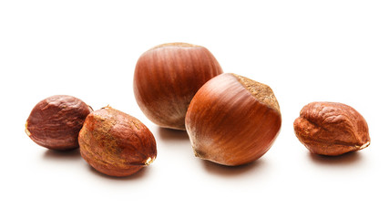 Fresh brown hazelnut
