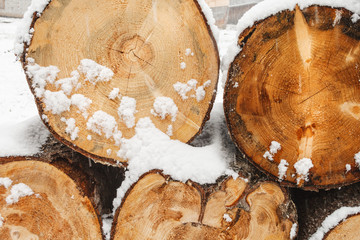 Stack of wood cut with snow