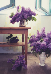 Interior design with lilac flowers in many vases