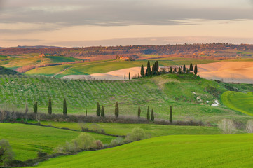 Naklejka premium Wavy fields in spring sunset in Tuscany.