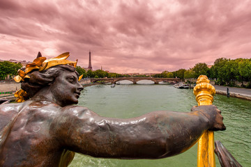 Fototapeta na wymiar Paris view fro Alexander III bridge.