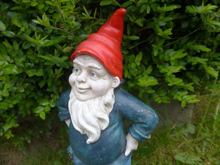 Garden gnome - Bild -