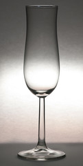 glass of champagne in backlight with black outlines
