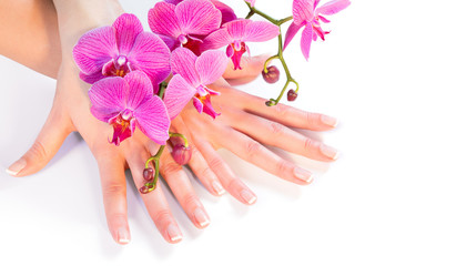 manicure and orchid on white - wellness and care