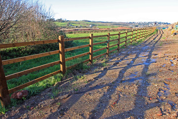 Fence in the countryside