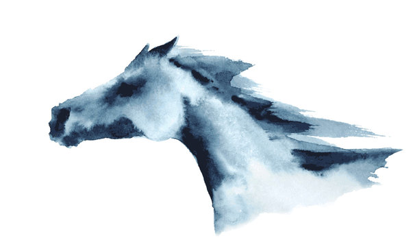Watercolor head of galloping horse