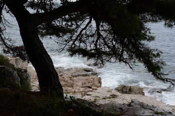 Fototapeta na wymiar Küste bei Rovinj