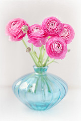 Pink ranunculus flowers close-up in a glass vase .