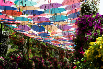 Park alley with many umbrellas. Dubai Miracle Garden in the UAE