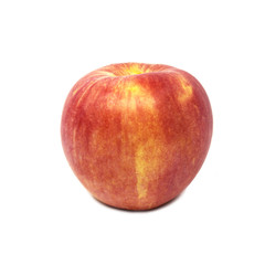 Apple isolated on white