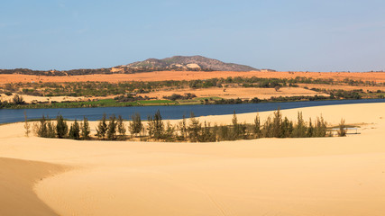 white sand dune