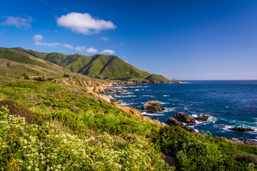 Obraz premium View of the Pacific Coast at Garrapata State Park, California.