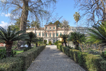 Fototapeta na wymiar Pisa botanical garden