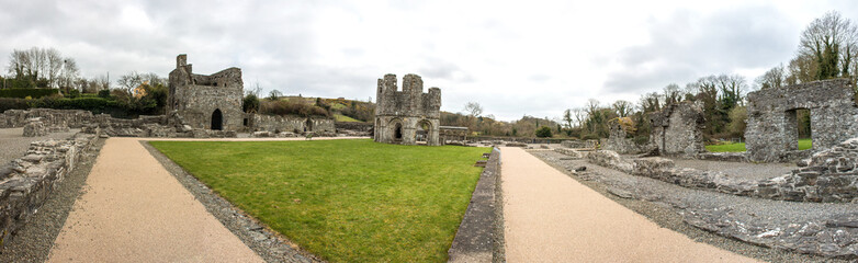 Fototapeta na wymiar Mellifont Abbey (An Mhainistir Mhór) 