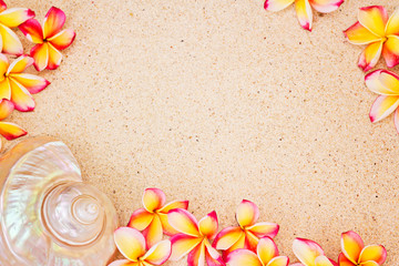 Sea shell and frangipani flowers on sand, top view, summer conce