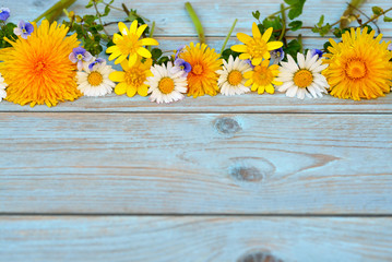 Obraz premium Background of grey blue wood with border of field flowers