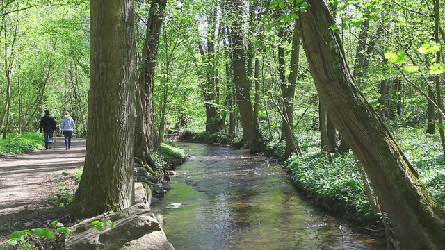 sentier promenade rivi&egrave;re
