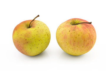 two apple on isolated white background