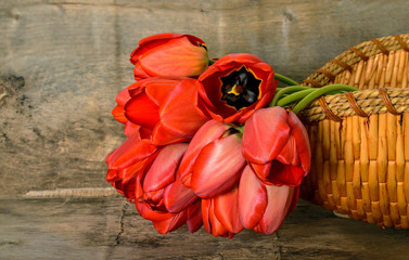 Fototapeta na wymiar bouquet of red tulips in a basket on a wooden background