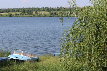 На природе у озера © Roman TINIAKOV