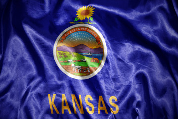 shining kansas state flag