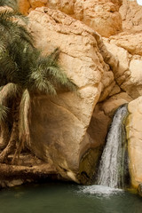 Waterfall in mountain oasis Chebika in Tunisia
