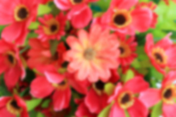 blurred artificial flowers