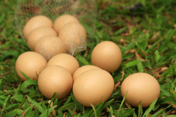Vintage easter eggs
