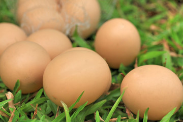 Vintage easter eggs