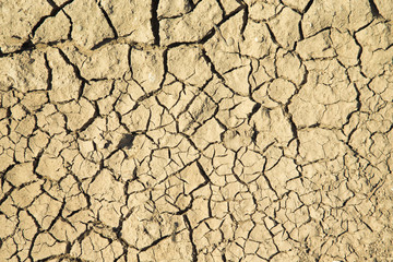 Dry cracked land. Natural background