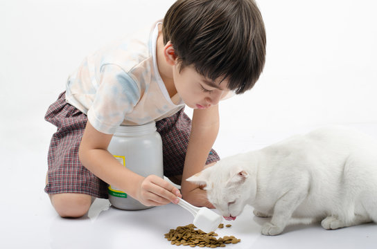 Little Boy Giving Food For Cat