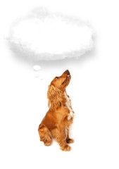 Cute dog with empty cloud bubble