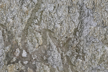 stone texture background