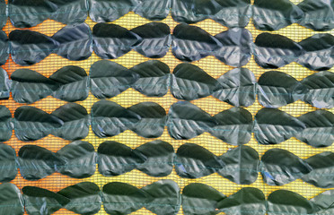 Decorative background