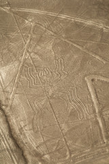 Unesco Heritage: Lines and Geoglyphs of Nazca, Peru - Spider