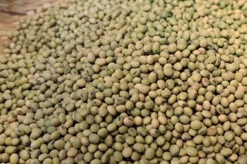 mung beans