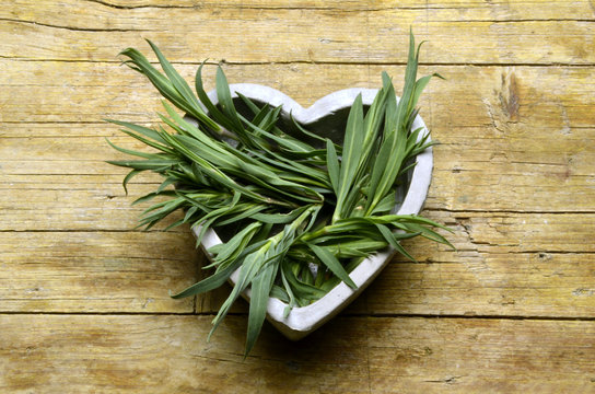 Silene vulgaris Bladder campion Sclopit Смолёвка